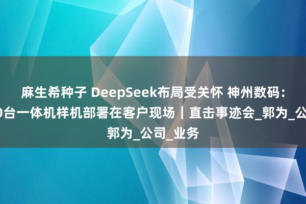 麻生希种子 DeepSeek布局受关怀 神州数码：已有300台一体机样机部署在客户现场｜直击事迹会_郭为_公司_业务