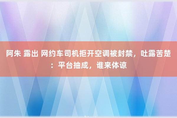 阿朱 露出 网约车司机拒开空调被封禁，吐露苦楚：平台抽成，谁来体谅