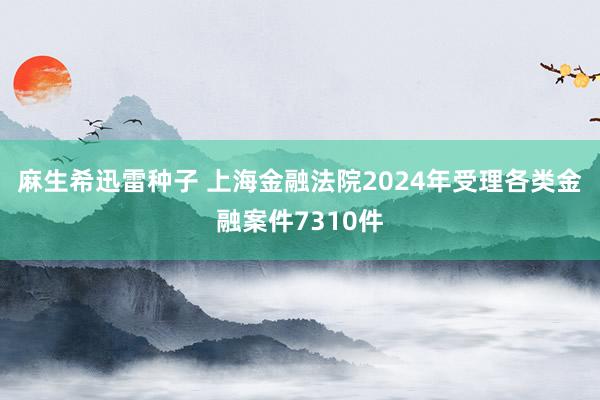 麻生希迅雷种子 上海金融法院2024年受理各类金融案件7310件
