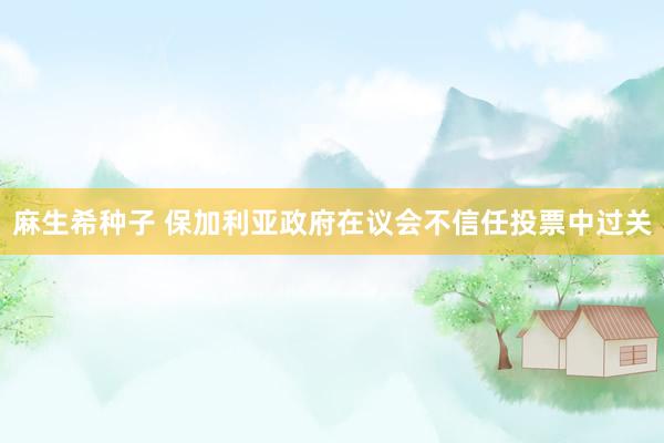 麻生希种子 保加利亚政府在议会不信任投票中过关