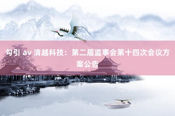 勾引 av 清越科技：第二届监事会第十四次会议方案公告