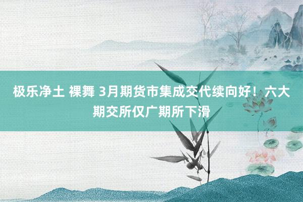 极乐净土 裸舞 3月期货市集成交代续向好！六大期交所仅广期所下滑