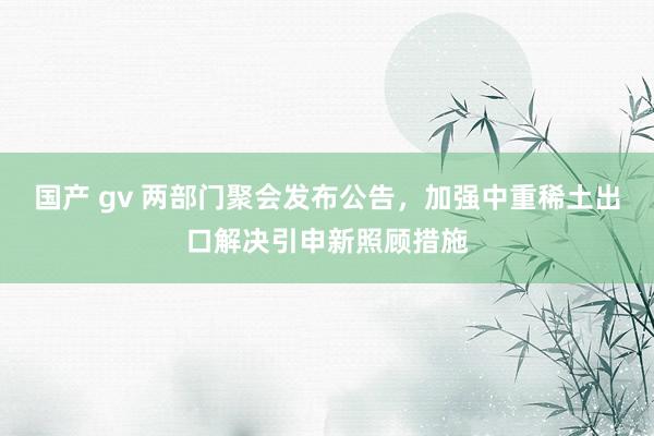 国产 gv 两部门聚会发布公告，加强中重稀土出口解决引申新照顾措施