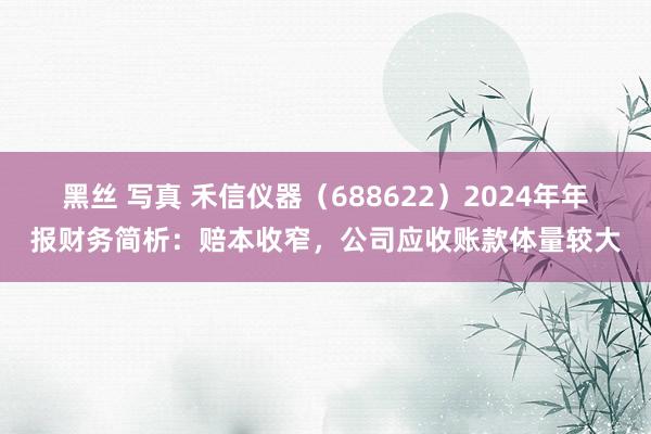 黑丝 写真 禾信仪器（688622）2024年年报财务简析：赔本收窄，公司应收账款体量较大