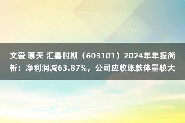 文爱 聊天 汇嘉时期（603101）2024年年报简析：净利润减63.87%，公司应收账款体量较大
