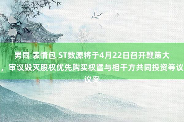 男同 表情包 ST数源将于4月22日召开鞭策大会，审议毁灭股权优先购买权暨与相干方共同投资等议案