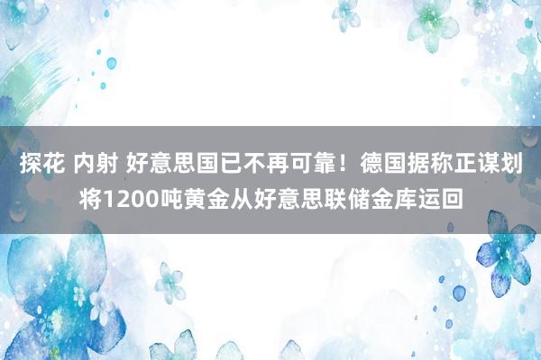 探花 内射 好意思国已不再可靠！德国据称正谋划将1200吨黄金从好意思联储金库运回