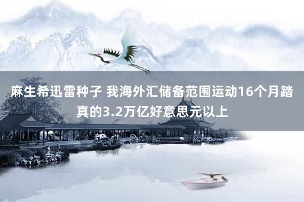 麻生希迅雷种子 我海外汇储备范围运动16个月踏真的3.2万亿好意思元以上
