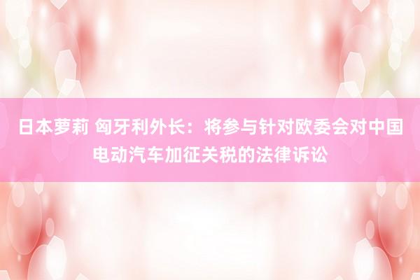 日本萝莉 匈牙利外长：将参与针对欧委会对中国电动汽车加征关税的法律诉讼