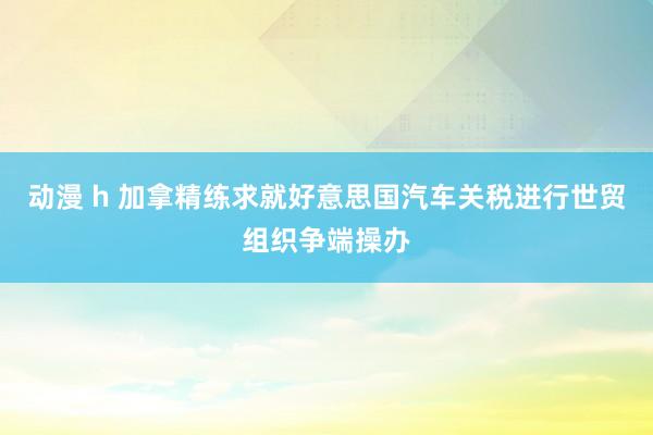 动漫 h 加拿精练求就好意思国汽车关税进行世贸组织争端操办