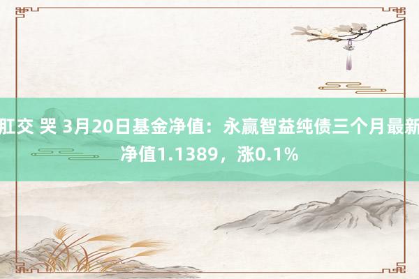 肛交 哭 3月20日基金净值：永赢智益纯债三个月最新净值1.1389，涨0.1%
