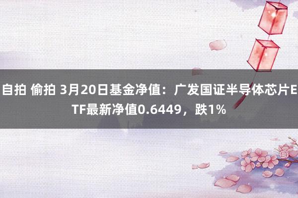 自拍 偷拍 3月20日基金净值：广发国证半导体芯片ETF最新净值0.6449，跌1%