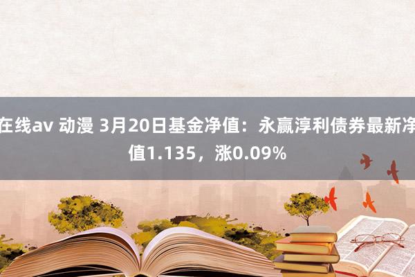 在线av 动漫 3月20日基金净值：永赢淳利债券最新净值1.135，涨0.09%