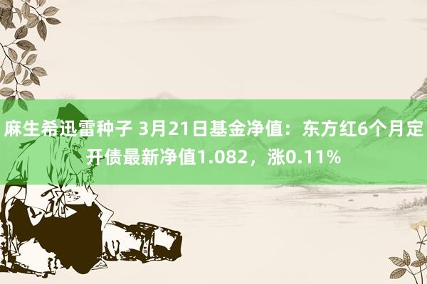 麻生希迅雷种子 3月21日基金净值：东方红6个月定开债最新净值1.082，涨0.11%