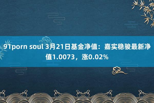 91porn soul 3月21日基金净值：嘉实稳骏最新净值1.0073，涨0.02%