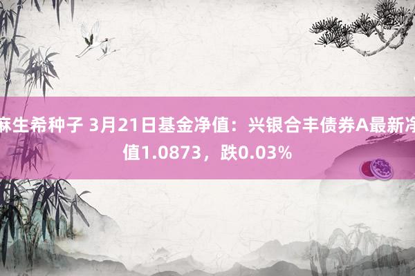 麻生希种子 3月21日基金净值：兴银合丰债券A最新净值1.0873，跌0.03%