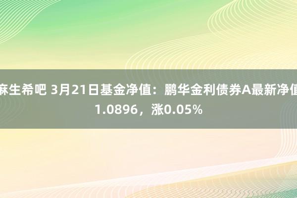 麻生希吧 3月21日基金净值：鹏华金利债券A最新净值1.0896，涨0.05%