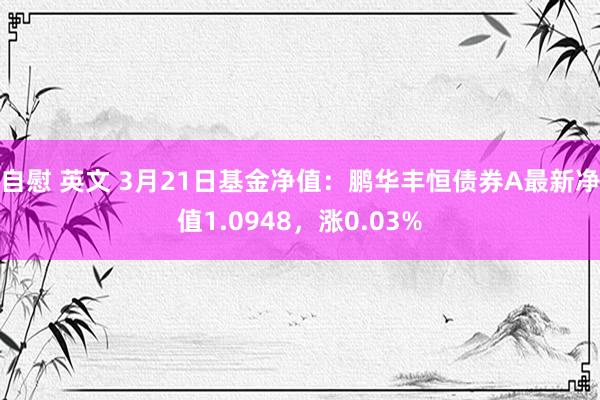 自慰 英文 3月21日基金净值：鹏华丰恒债券A最新净值1.0948，涨0.03%