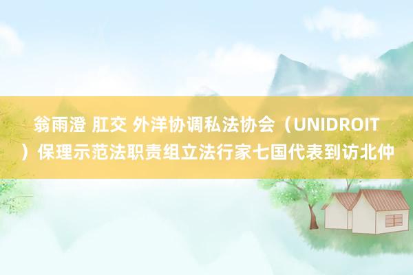 翁雨澄 肛交 外洋协调私法协会（UNIDROIT）保理示范法职责组立法行家七国代表到访北仲