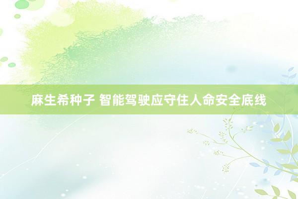 麻生希种子 智能驾驶应守住人命安全底线