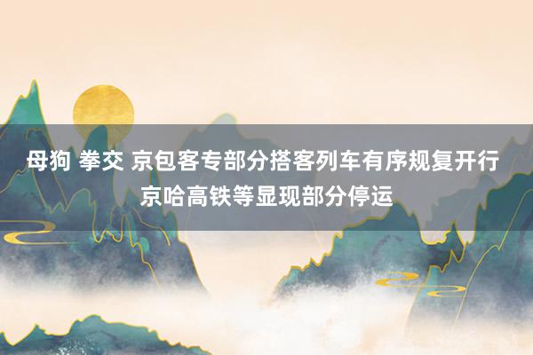 母狗 拳交 京包客专部分搭客列车有序规复开行 京哈高铁等显现部分停运