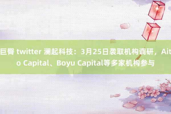 巨臀 twitter 澜起科技：3月25日袭取机构调研，Aito Capital、Boyu Capital等多家机构参与