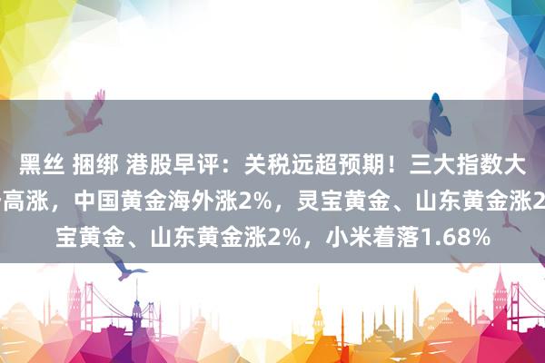 黑丝 捆绑 港股早评：关税远超预期！三大指数大幅低开，黄金股逆势高涨，中国黄金海外涨2%，灵宝黄金、山东黄金涨2%，小米着落1.68%