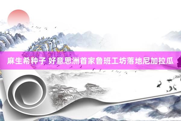 麻生希种子 好意思洲首家鲁班工坊落地尼加拉瓜
