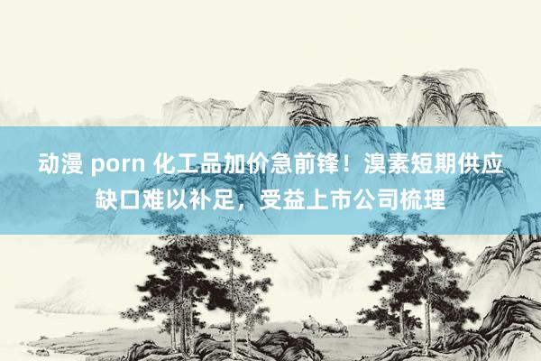 动漫 porn 化工品加价急前锋！溴素短期供应缺口难以补足，受益上市公司梳理