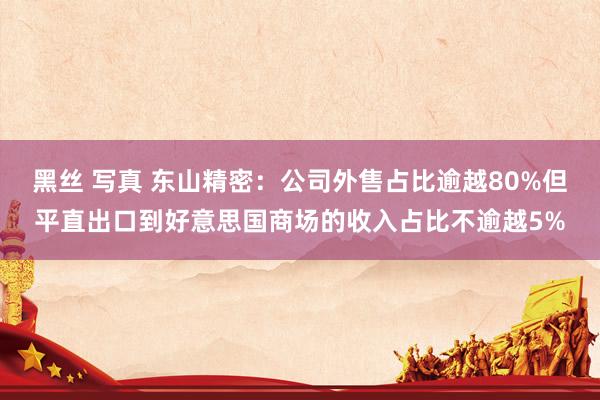 黑丝 写真 东山精密：公司外售占比逾越80%但平直出口到好意思国商场的收入占比不逾越5%