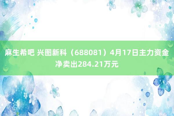 麻生希吧 兴图新科（688081）4月17日主力资金净卖出284.21万元