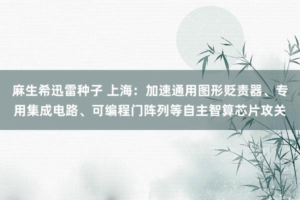 麻生希迅雷种子 上海：加速通用图形贬责器、专用集成电路、可编程门阵列等自主智算芯片攻关
