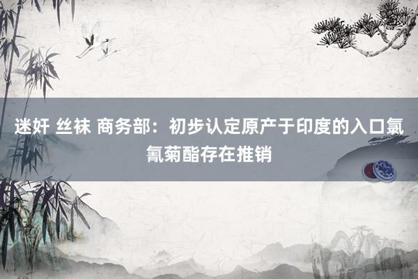 迷奸 丝袜 商务部：初步认定原产于印度的入口氯氰菊酯存在推销