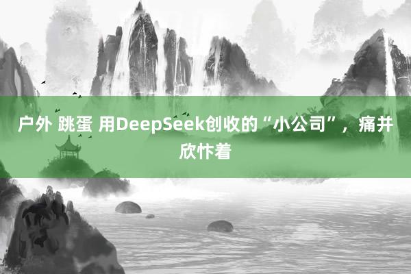 户外 跳蛋 用DeepSeek创收的“小公司”，痛并欣忭着