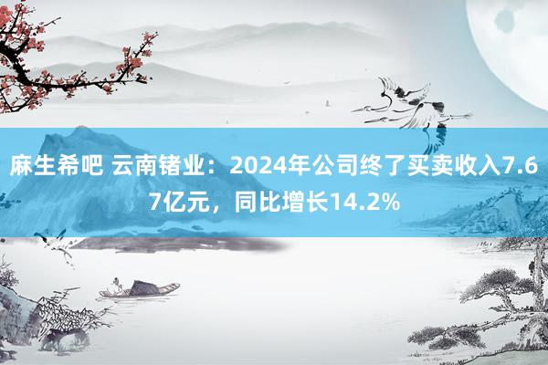 麻生希吧 云南锗业：2024年公司终了买卖收入7.67亿元，同比增长14.2%