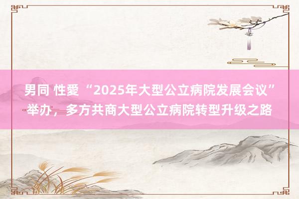 男同 性愛 “2025年大型公立病院发展会议”举办，多方共商大型公立病院转型升级之路